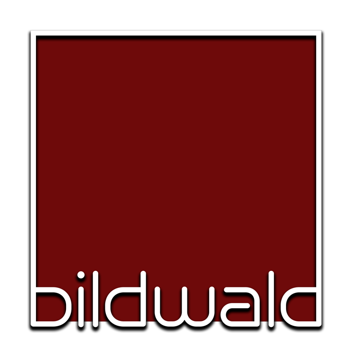 bildwald-the-different-view-all-new-in-2024-hohenhorn-portraits-stories-sports-horses-photography-fotografie-fotograf-hamburg
